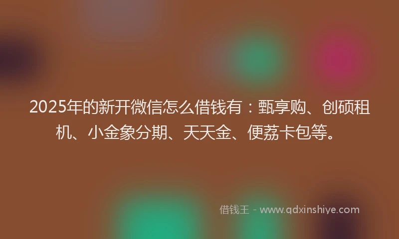 2025年的新开微信怎么借钱有：甄享购、创硕租机、小金象分期、天天金、便荔卡包等。
