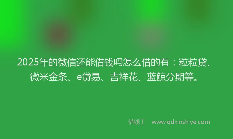 2025年的微信还能借钱吗怎么借的有：粒粒贷、微米金条、e贷易、吉祥花、蓝鲸分期等。