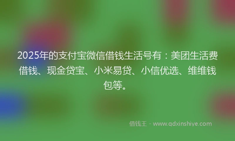 2025年的支付宝微信借钱生活号有：美团生活费借钱、现金贷宝、小米易贷、小信优选、维维钱包等。