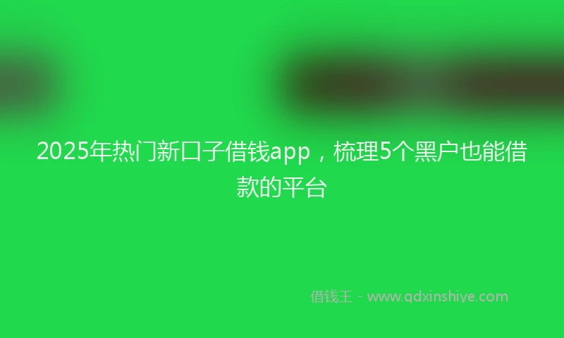 2025年热门新口子借钱app，梳理5个黑户也能借款的平台