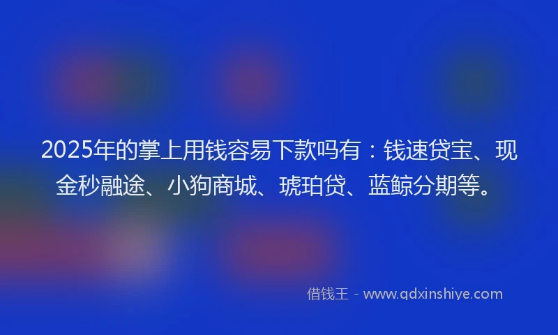 2025年的掌上用钱容易下款吗有：钱速贷宝、现金秒融途、小狗商城、琥珀贷、蓝鲸分期等。