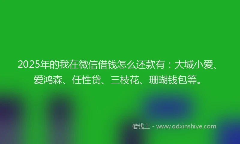 2025年的我在微信借钱怎么还款有：大城小爱、爱鸿森、任性贷、三枝花、珊瑚钱包等。
