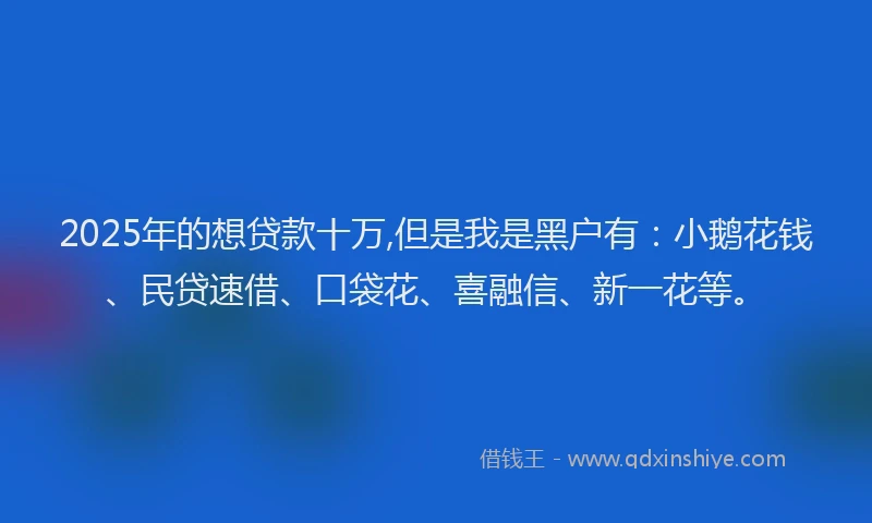 2025年的想贷款十万,但是我是黑户有：小鹅花钱、民贷速借、口袋花、喜融信、新一花等。