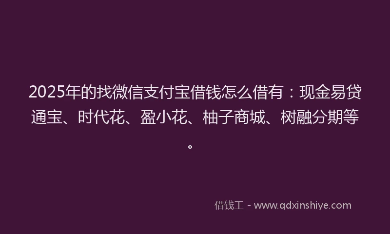 2025年的找微信支付宝借钱怎么借有：现金易贷通宝、时代花、盈小花、柚子商城、树融分期等。