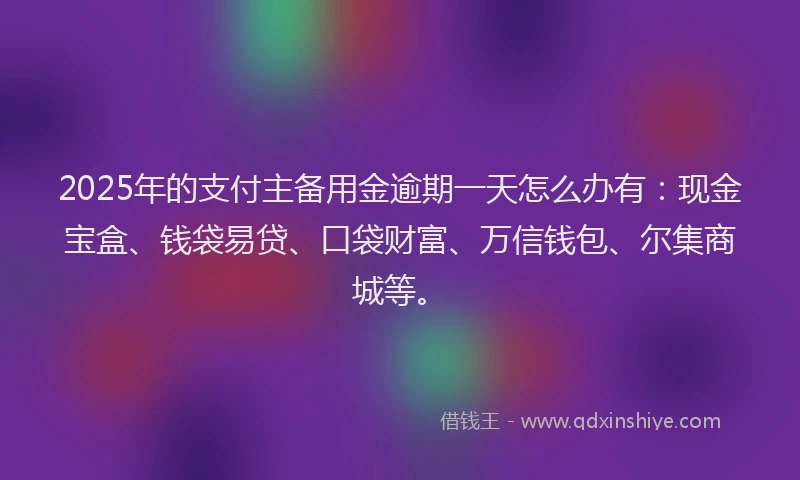 2025年的支付主备用金逾期一天怎么办有：现金宝盒、钱袋易贷、口袋财富、万信钱包、尔集商城等。