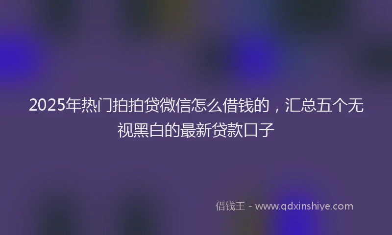 2025年热门拍拍贷微信怎么借钱的，汇总五个无视黑白的最新贷款口子