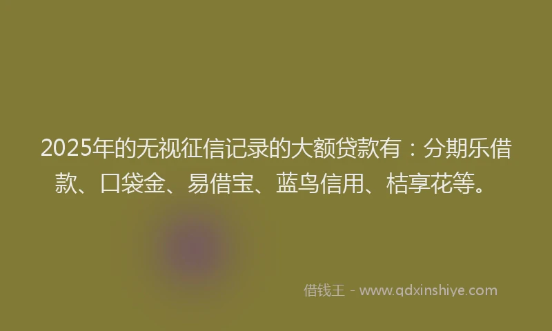 2025年的无视征信记录的大额贷款有：分期乐借款、口袋金、易借宝、蓝鸟信用、桔享花等。