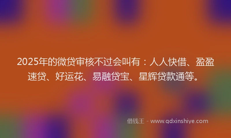 2025年的微贷审核不过会叫有：人人快借、盈盈速贷、好运花、易融贷宝、星辉贷款通等。