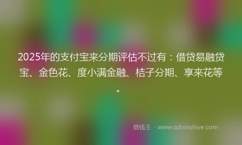 2025年的支付宝来分期评估不过有：借贷易融贷宝、金色花、度小满金融、桔子分期、享来花等。