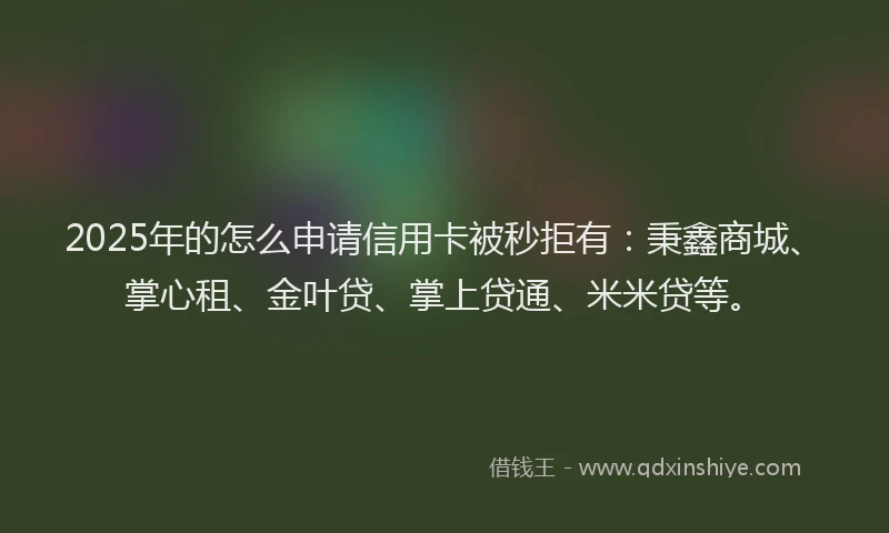 2025年的怎么申请信用卡被秒拒有：秉鑫商城、掌心租、金叶贷、掌上贷通、米米贷等。