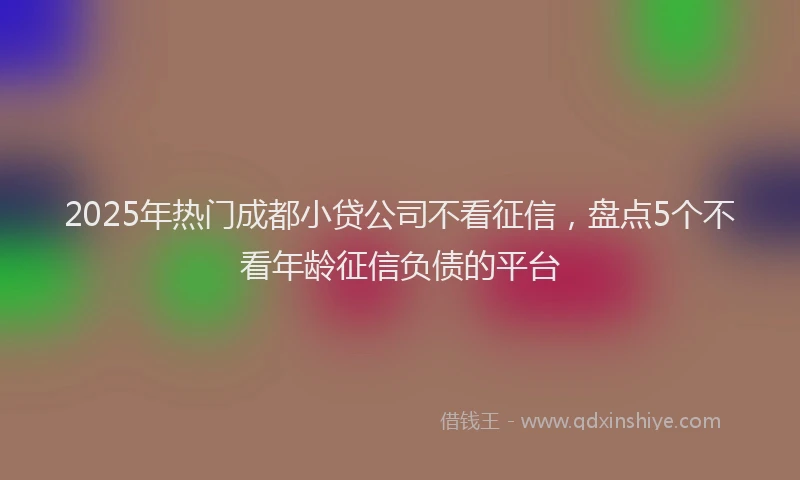 2025年热门成都小贷公司不看征信，盘点5个不看年龄征信负债的平台