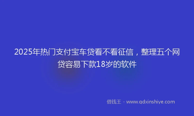 2025年热门支付宝车贷看不看征信，整理五个网贷容易下款18岁的软件