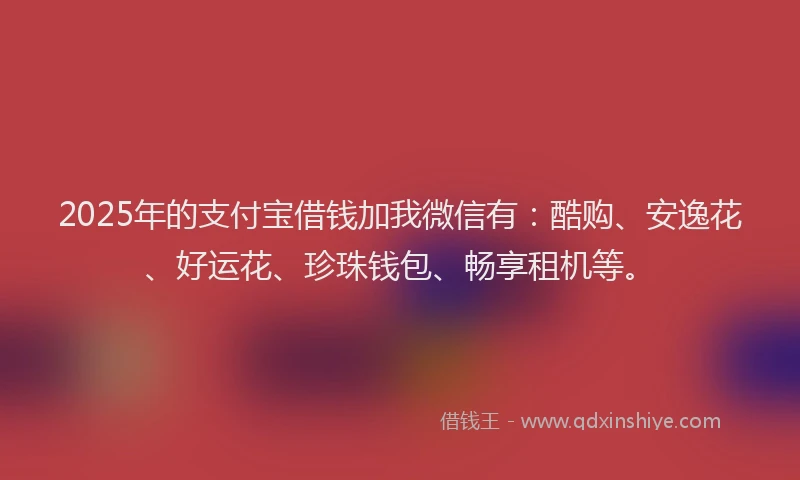 2025年的支付宝借钱加我微信有：酷购、安逸花、好运花、珍珠钱包、畅享租机等。