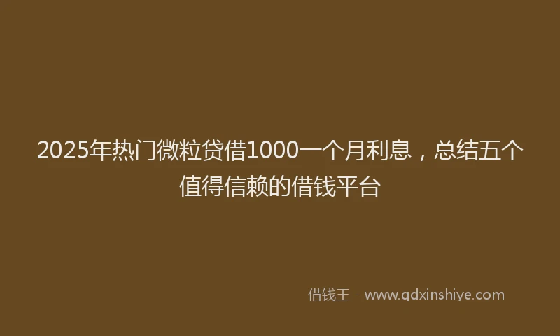 2025年热门微粒贷借1000一个月利息，总结五个值得信赖的借钱平台