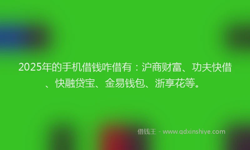 2025年的手机借钱咋借有：沪商财富、功夫快借、快融贷宝、金易钱包、浙享花等。