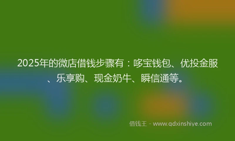 2025年的微店借钱步骤有：哆宝钱包、优投金服、乐享购、现金奶牛、瞬信通等。