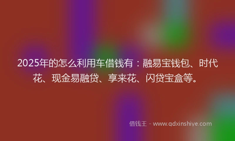 2025年的怎么利用车借钱有：融易宝钱包、时代花、现金易融贷、享来花、闪贷宝盒等。