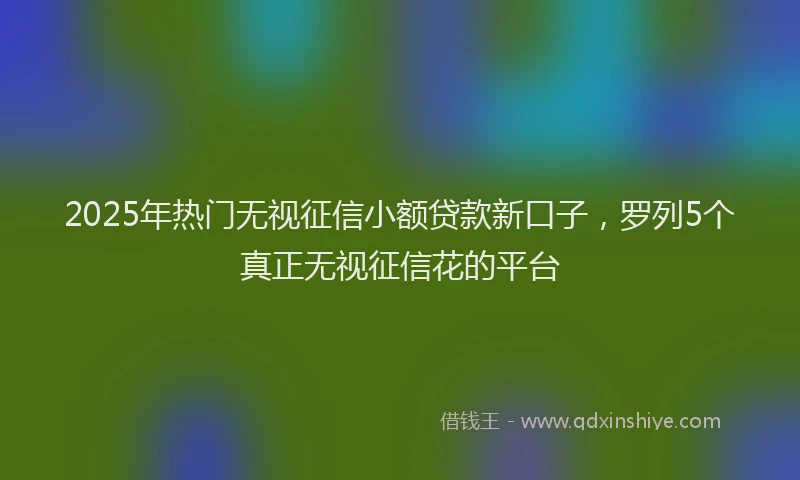 2025年热门无视征信小额贷款新口子，罗列5个真正无视征信花的平台