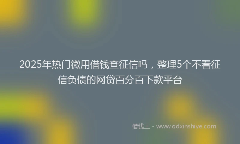 2025年热门微用借钱查征信吗，整理5个不看征信负债的网贷百分百下款平台