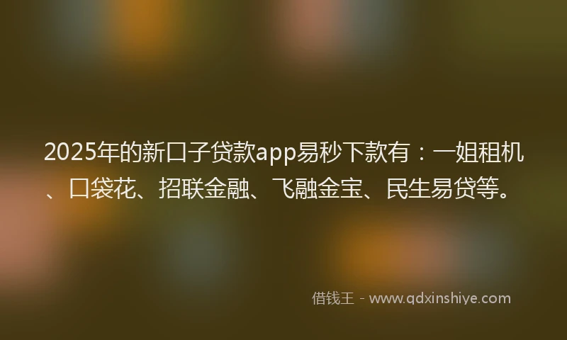 2025年的新口子贷款app易秒下款有：一姐租机、口袋花、招联金融、飞融金宝、民生易贷等。