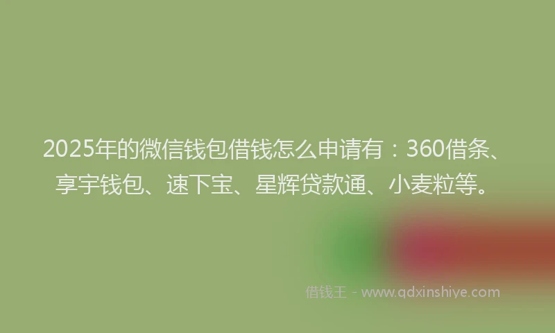 2025年的微信钱包借钱怎么申请有：360借条、享宇钱包、速下宝、星辉贷款通、小麦粒等。