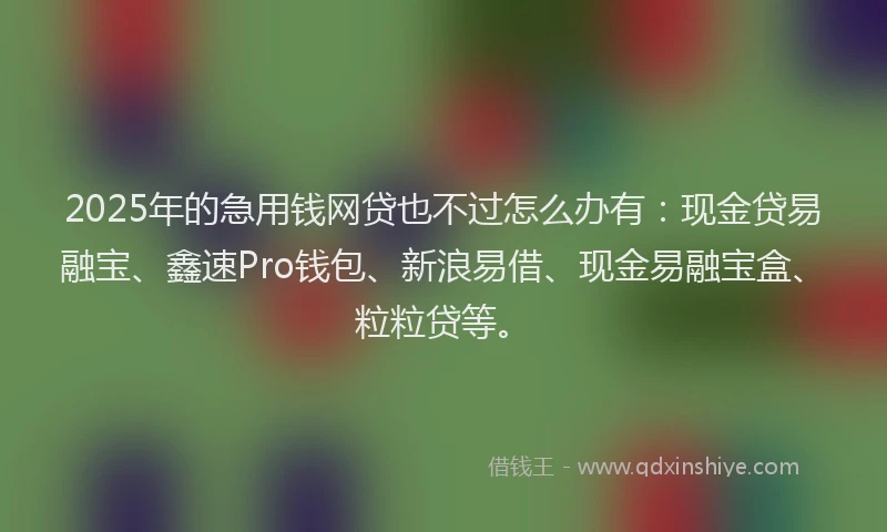 2025年的急用钱网贷也不过怎么办有：现金贷易融宝、鑫速Pro钱包、新浪易借、现金易融宝盒、粒粒贷等。