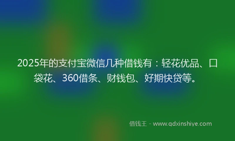 2025年的支付宝微信几种借钱有：轻花优品、口袋花、360借条、财钱包、好期快贷等。