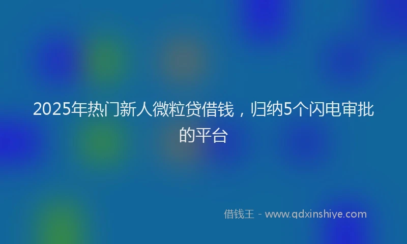 2025年热门新人微粒贷借钱，归纳5个闪电审批的平台