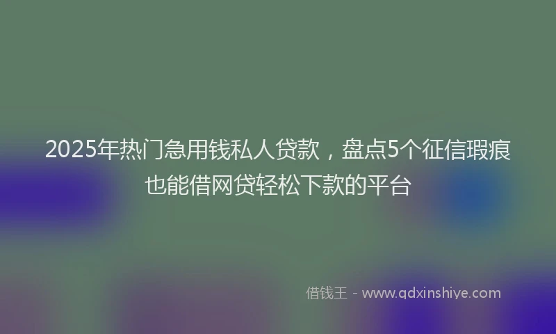 2025年热门急用钱私人贷款，盘点5个征信瑕疵也能借网贷轻松下款的平台