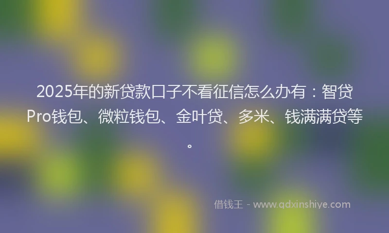 2025年的新贷款口子不看征信怎么办有：智贷Pro钱包、微粒钱包、金叶贷、多米、钱满满贷等。