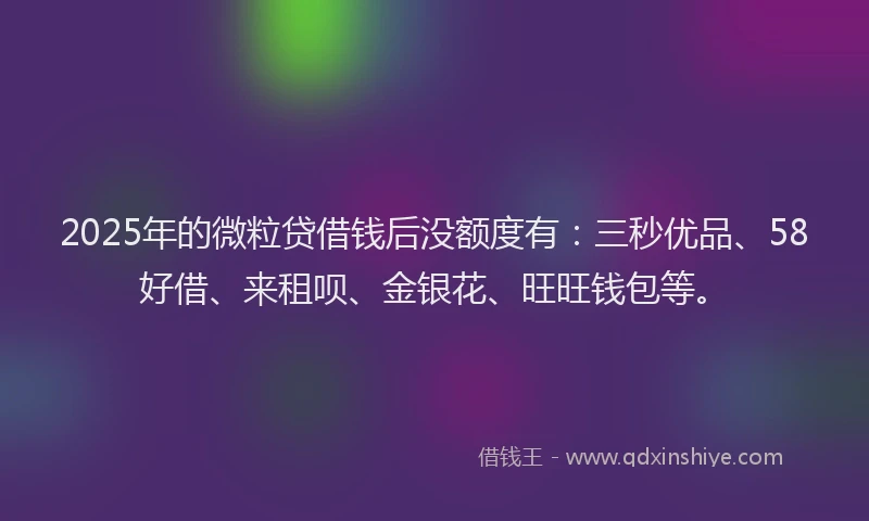 2025年的微粒贷借钱后没额度有：三秒优品、58好借、来租呗、金银花、旺旺钱包等。