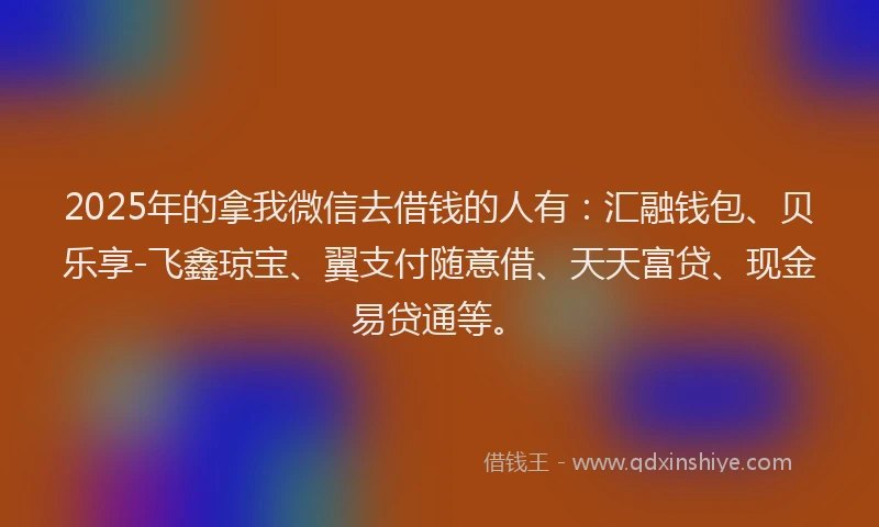 2025年的拿我微信去借钱的人有：汇融钱包、贝乐享-飞鑫琼宝、翼支付随意借、天天富贷、现金易贷通等。