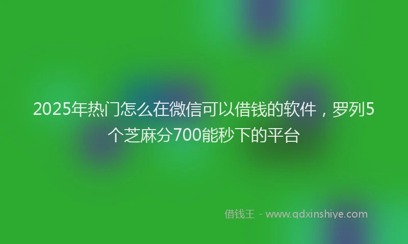 2025年热门怎么在微信可以借钱的软件，罗列5个芝麻分700能秒下的平台