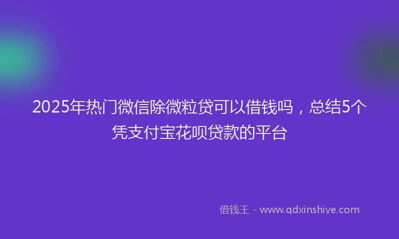 2025年热门微信除微粒贷可以借钱吗，总结5个凭支付宝花呗贷款的平台