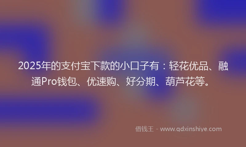 2025年的支付宝下款的小口子有：轻花优品、融通Pro钱包、优速购、好分期、葫芦花等。