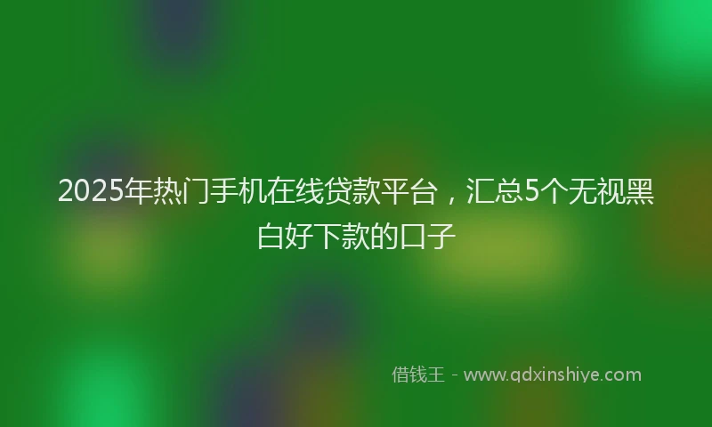 2025年热门手机在线贷款平台，汇总5个无视黑白好下款的口子