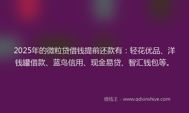 2025年的微粒贷借钱提前还款有：轻花优品、洋钱罐借款、蓝鸟信用、现金易贷、智汇钱包等。