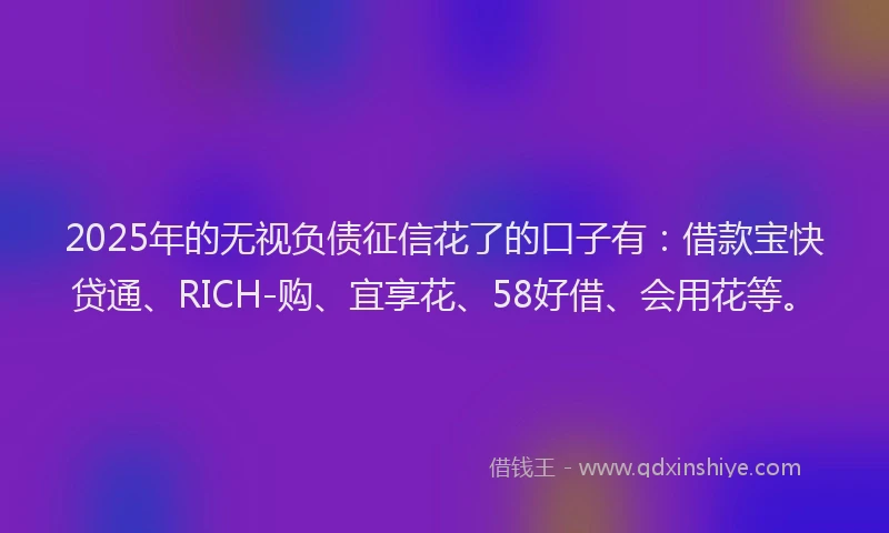 2025年的无视负债征信花了的口子有：借款宝快贷通、RICH-购、宜享花、58好借、会用花等。