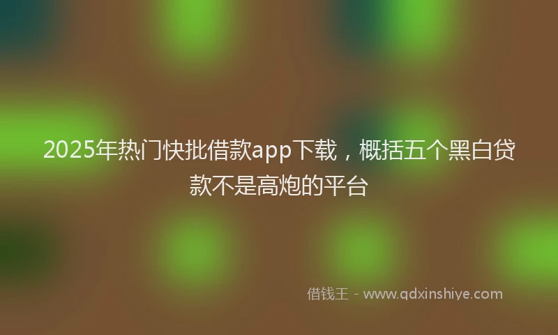 2025年热门快批借款app下载，概括五个黑白贷款不是高炮的平台
