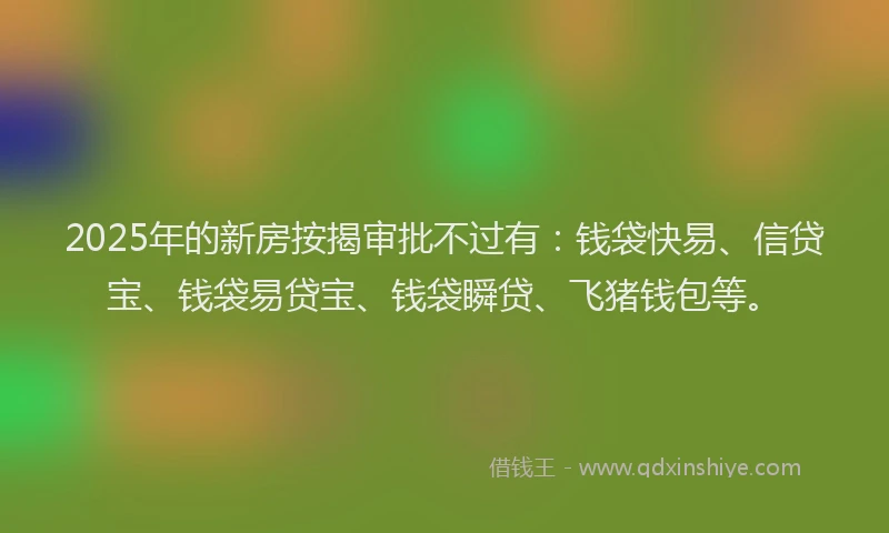 2025年的新房按揭审批不过有：钱袋快易、信贷宝、钱袋易贷宝、钱袋瞬贷、飞猪钱包等。