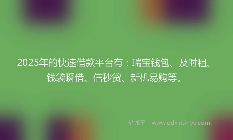2025年的快速借款平台有：瑞宝钱包、及时租、钱袋瞬借、信秒贷、新机易购等。