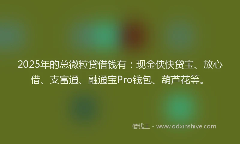 2025年的总微粒贷借钱有：现金侠快贷宝、放心借、支富通、融通宝Pro钱包、葫芦花等。