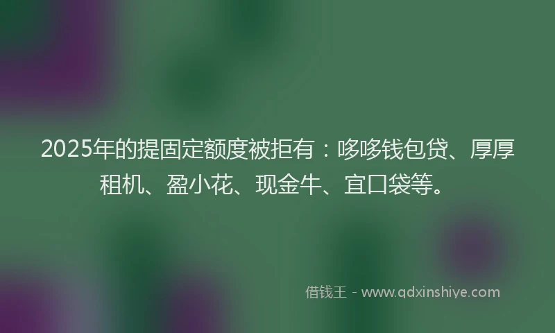 2025年的提固定额度被拒有：哆哆钱包贷、厚厚租机、盈小花、现金牛、宜口袋等。
