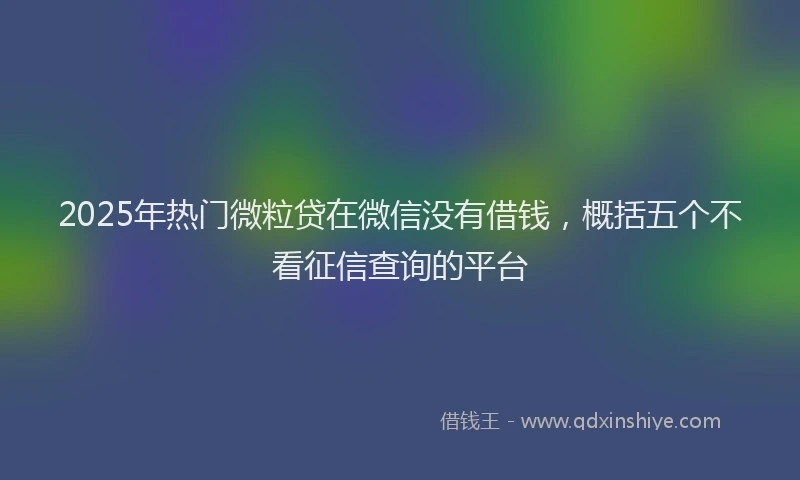 2025年热门微粒贷在微信没有借钱，概括五个不看征信查询的平台