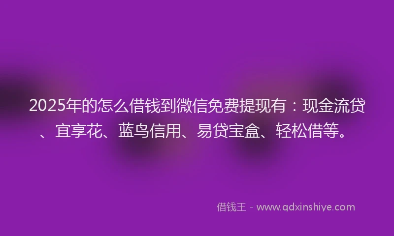 2025年的怎么借钱到微信免费提现有：现金流贷、宜享花、蓝鸟信用、易贷宝盒、轻松借等。