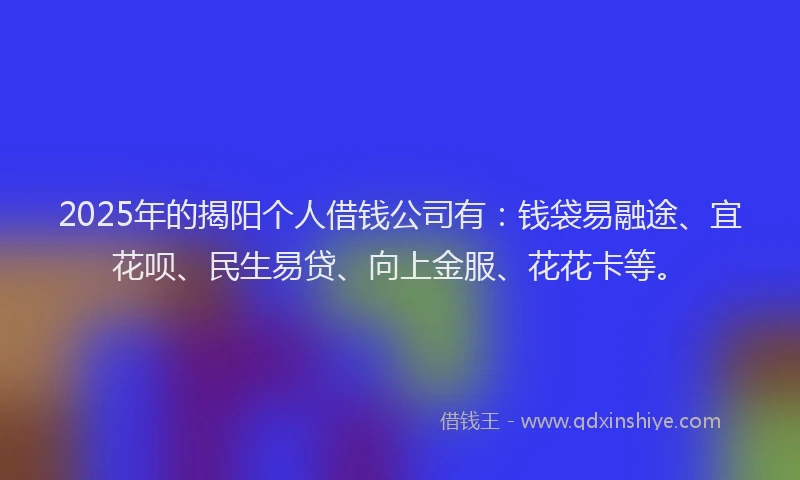 2025年的揭阳个人借钱公司有：钱袋易融途、宜花呗、民生易贷、向上金服、花花卡等。