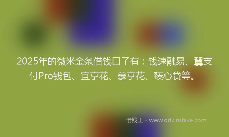 2025年的微米金条借钱口子有：钱速融易、翼支付Pro钱包、宜享花、鑫享花、臻心贷等。