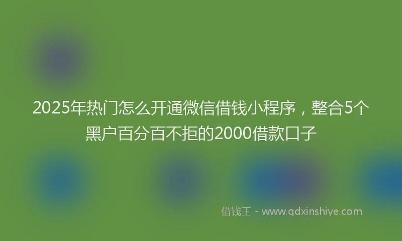 2025年热门怎么开通微信借钱小程序，整合5个黑户百分百不拒的2000借款口子
