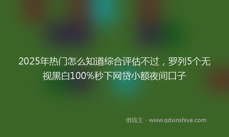 2025年热门怎么知道综合评估不过，罗列5个无视黑白100%秒下网贷小额夜间口子