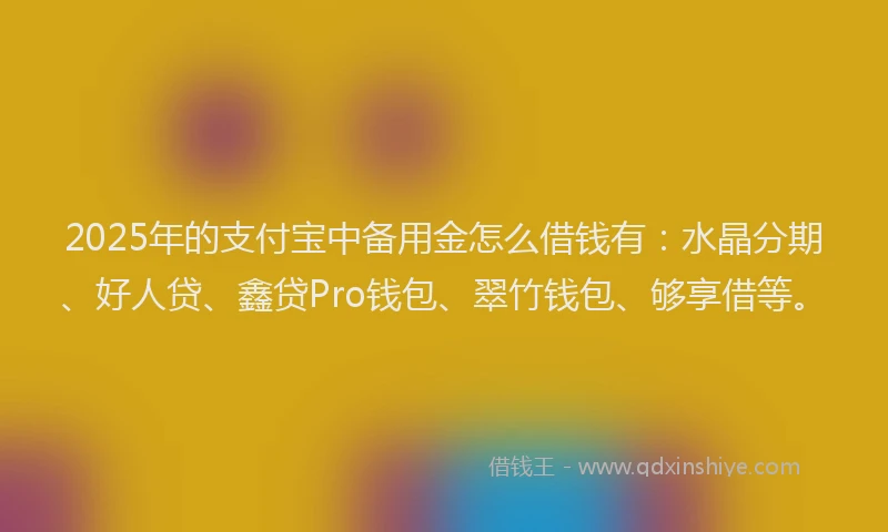 2025年的支付宝中备用金怎么借钱有：水晶分期、好人贷、鑫贷Pro钱包、翠竹钱包、够享借等。